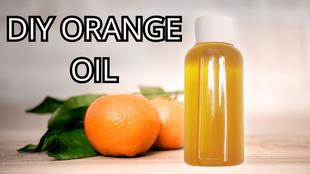 Make Your Own Orange Oil at Home – It&rsquo;s Easy and Amazing for Your&nbsp;Skin!